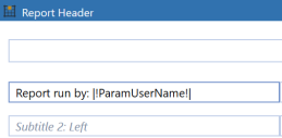 A parameter that prompts users to enter their name at runtime is assigned to a header in a report cube view. ""